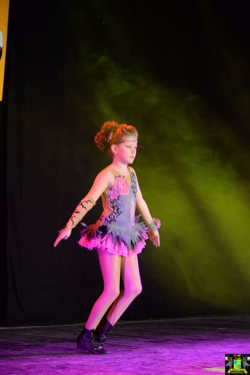 ../Images/Dansmarieke festival 2018 047.jpg